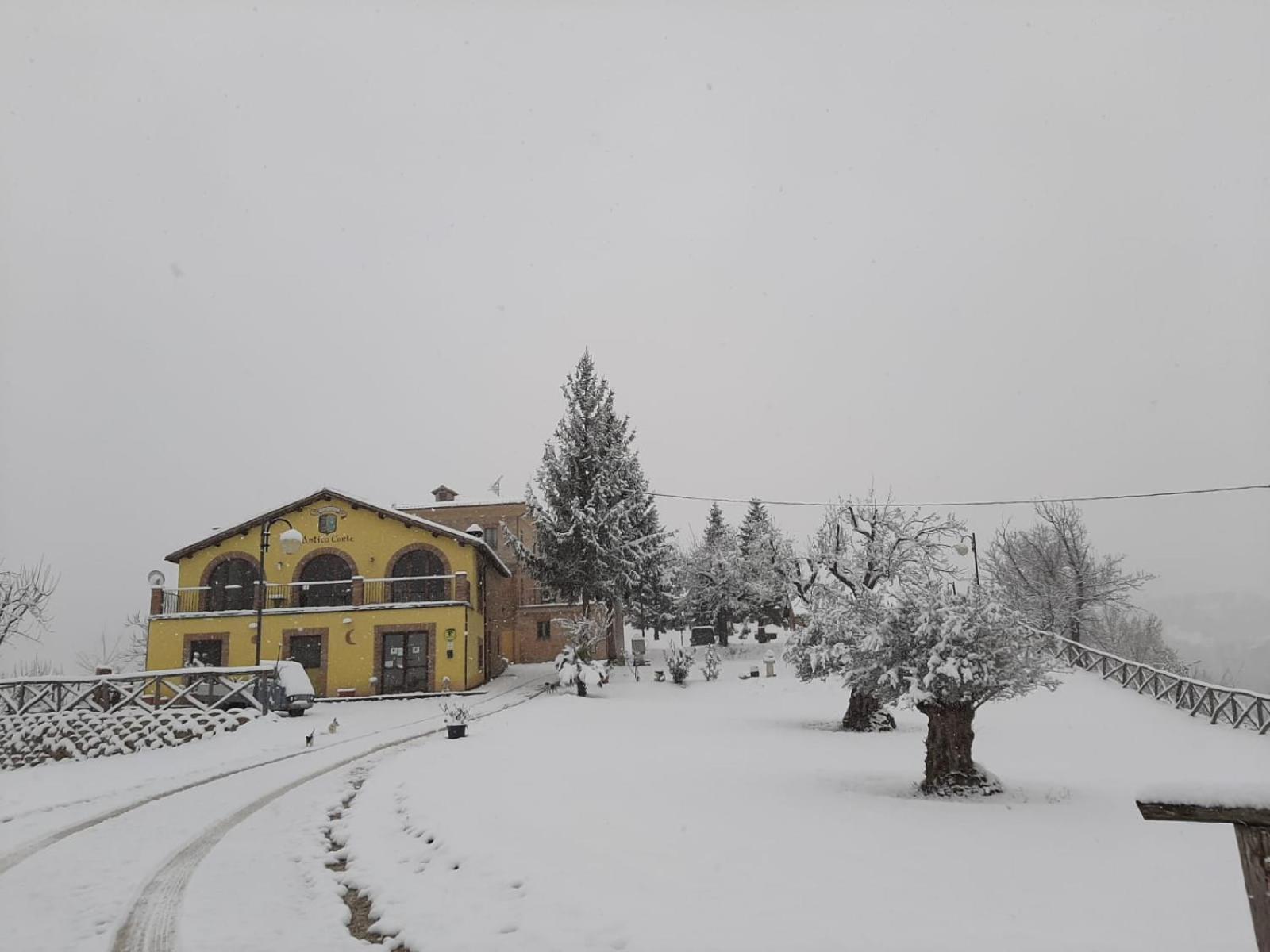 Agriturismo Antica Corte Montatteglia Dış mekan fotoğraf