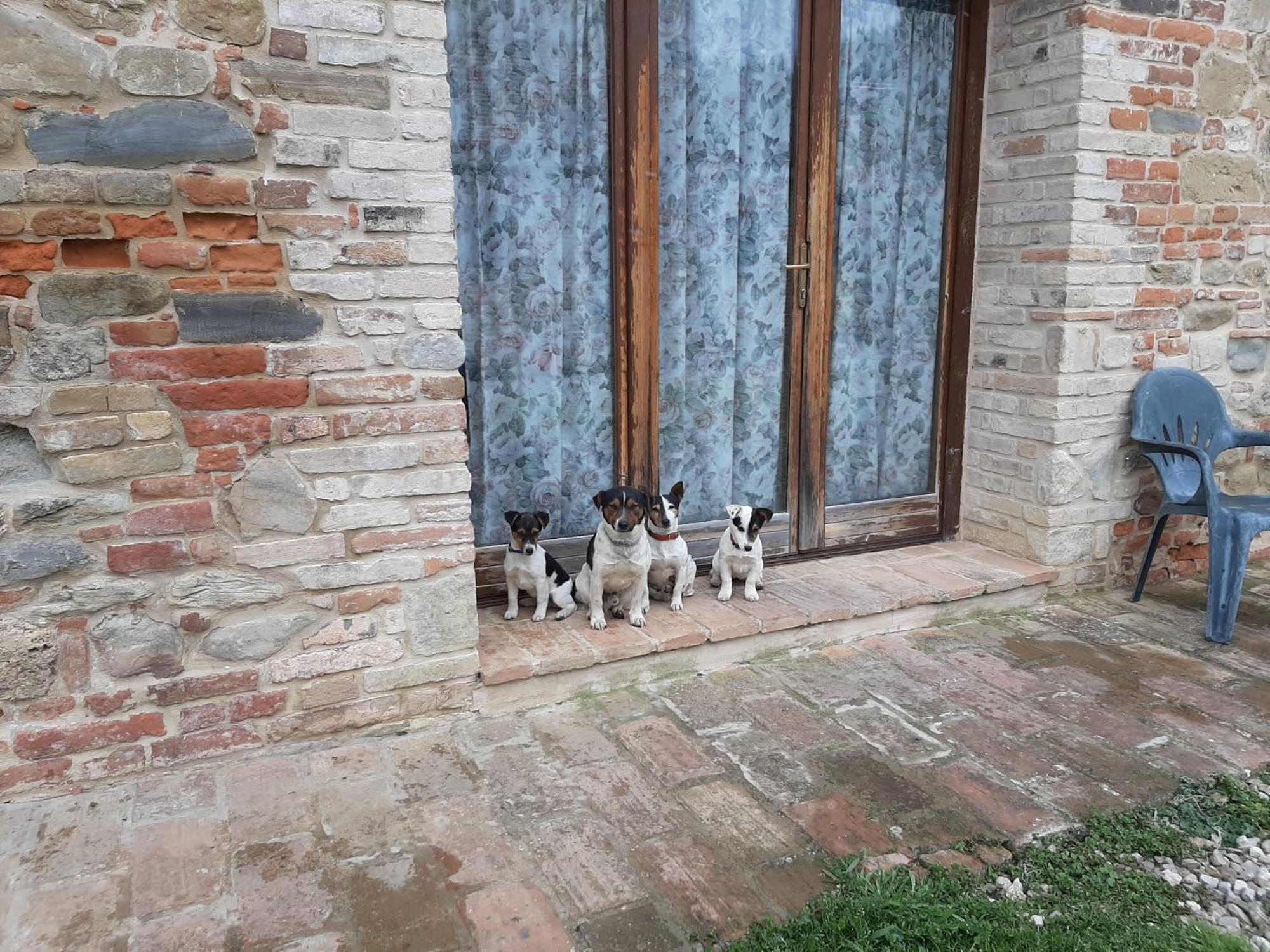 Agriturismo Antica Corte Montatteglia Dış mekan fotoğraf